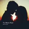 About Tu Mera Pyar Song